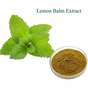 Lemon Balm Extract