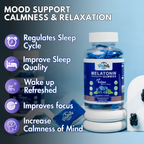 Vitabitz Melatonin Ashwagandha Gummies
