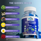 Vitabitz Melatonin Ashwagandha Gummies