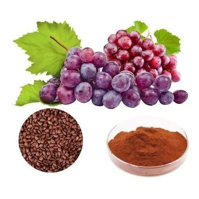 Grape seed extract